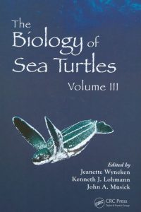 Sea turtle book cover - med res med size